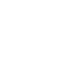 Kingster